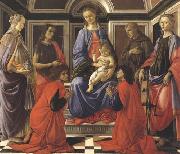 Madonna enthroned with Child and Saints (Mary Magdalene,John the Baptist,Cosmas and Damien,Sts Francis and Catherine of Alexandria) Sandro Botticelli